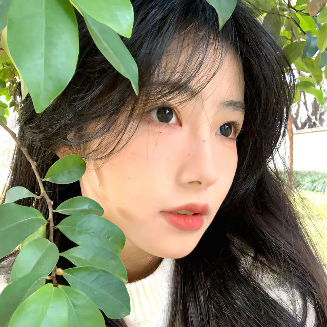 黄粱一梦